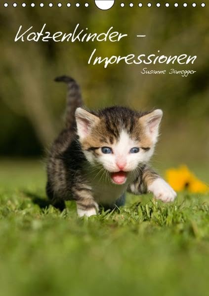 Katzenkinder - Impressionen (Wandkalender 2016 DIN A4 hoch): Kleine Katzen ganz groß. (Planer, 14 Seiten ) (CALVENDO Tiere) Calendars