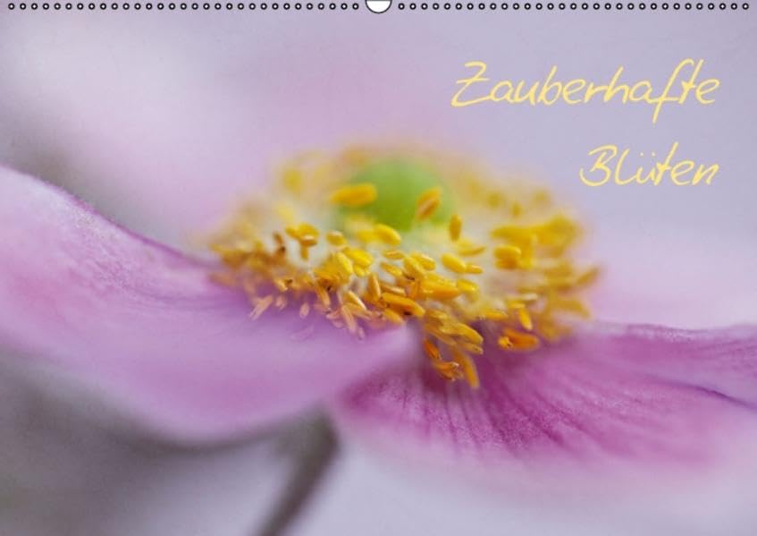 Zauberhafte Blüten (Wandkalender 2016 DIN A2 quer): Makroaufnahmen verschiedener Blüten (Monatskalender, 14 Seiten ) (CALVENDO Kunst) Calendars