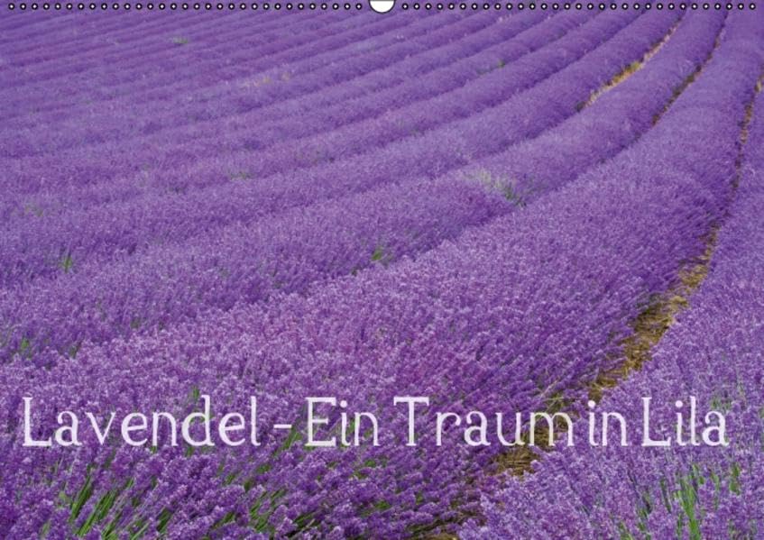 Lavendel - Ein Traum in Lila (Wandkalender 2016 DIN A2 quer): Genießen Sie ein ganzes Jahr blühenden Lavendel und erfreuen Sie sich an der intensiven ... (Monatskalender, 14 Seiten) (CALVENDO Natur) Leisure, Home & Garden