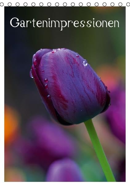 Gartenimpressionen (Tischkalender 2016 DIN A5 hoch): Die Nahaufnahmen geben einen imposanten Einblick in meine Gartenwelt. (Planer, 14 Seiten ) (CALVENDO Natur) Leisure, Home & Garden