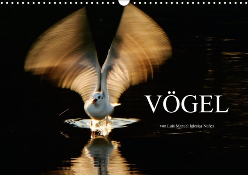 VÖGEL (Wandkalender 2016 DIN A3 quer): Vögel, aus der Nähe betrachtet (Monatskalender, 14 Seiten ) (CALVENDO Tiere) Calendars