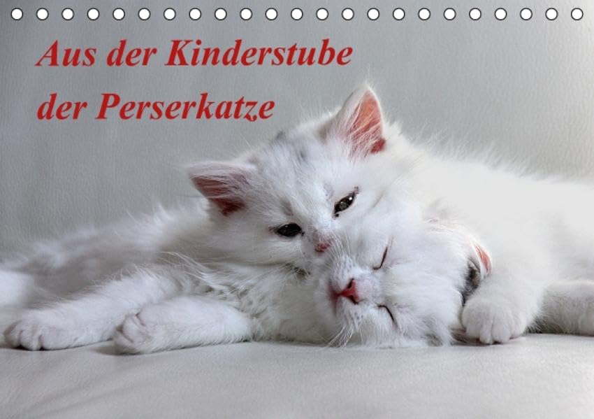 Aus der Kinderstube der Perserkatze (Tischkalender 2016 DIN A5 quer): In der Welt der Rassekatzen (Monatskalender, 14 Seiten ) (CALVENDO Tiere) Calendars