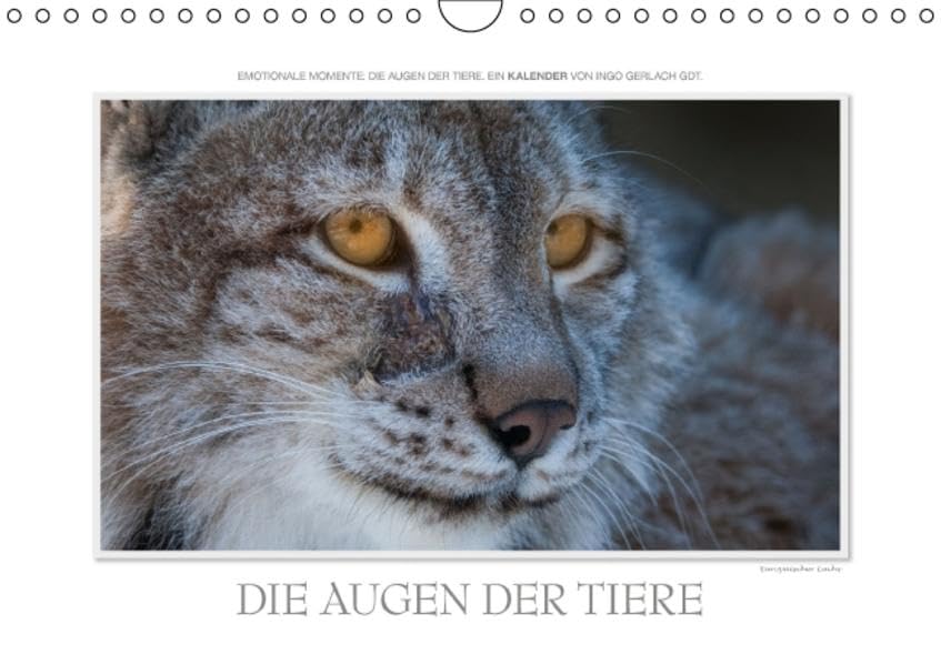 Emotionale Momente: Die Augen der Tiere. (Wandkalender 2016 DIN A4 quer): Über Jahre hinweg hat der renommierte Naturfotograf Ingo Gerlach GDT die ... (Monatskalender, 14 Seiten ) (CALVENDO Tiere) Calendars