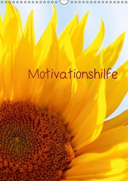 Motivationshilfe (Wandkalender 2016 DIN A3 hoch): Ein Planer der besonderen Art (Planer, 14 Seiten ) (CALVENDO Wissen) Calendars