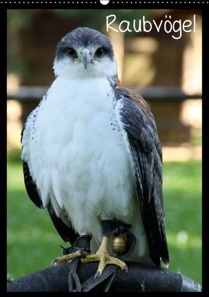 Raubvögel (Wandkalender 2016 DIN A2 hoch): Ein kleiner Blick in die Artenvielfalt der Greifvögel. (Planer, 14 Seiten ) (CALVENDO Tiere) Calendars