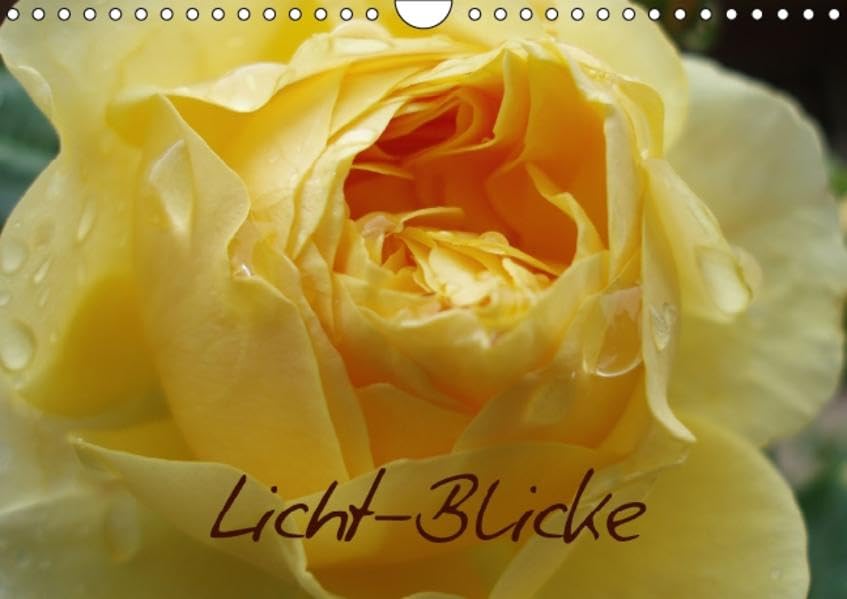 Licht - Blicke (Wandkalender 2016 DIN A4 quer): Gelbe Blüten wärmen wie kleine Sonnen unser Herz. (Monatskalender, 14 Seiten ) (CALVENDO Natur) Calendars