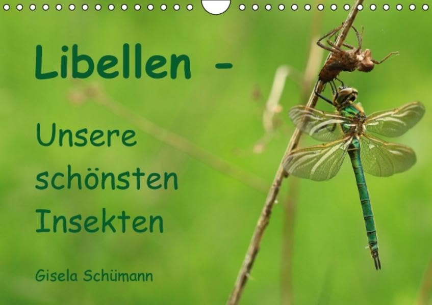 Libellen - Unsere schönsten Insekten (Wandkalender 2016 DIN A4 quer): Entdecken Sie die schönsten Insekten der Welt, die Libellen (Monatskalender, 14 Seiten ) (CALVENDO Tiere) Calendars