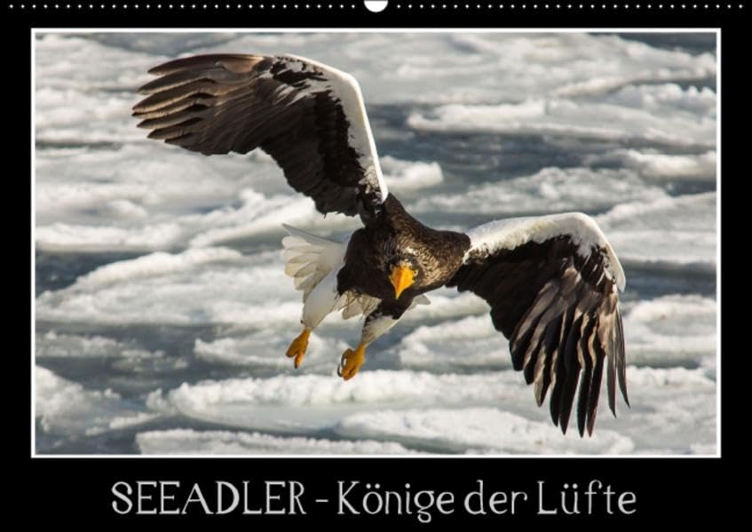 Seeadler - Könige der Lüfte (Wandkalender 2016 DIN A2 quer): Seeadler in ihrer natürlichen Umgebung. (Monatskalender, 14 Seiten) (CALVENDO Tiere) Calendars