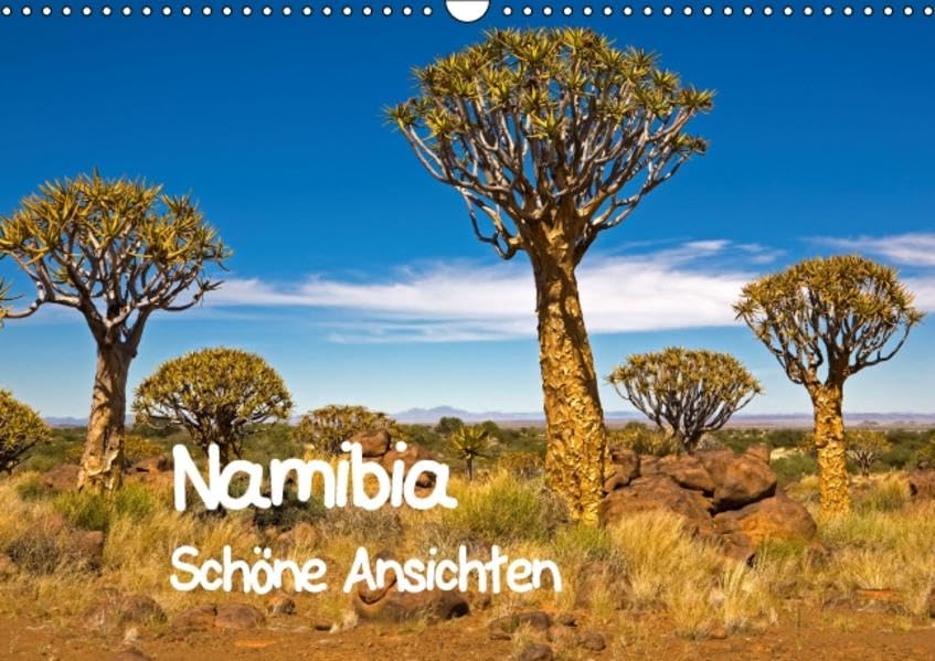 Namibia - Schöne Ansichten (Wandkalender 2016 DIN A3 quer): Namibia ist ein faszinierendes Land mit schönen Ansichten (Monatskalender, 14 Seiten ) (CALVENDO Orte) Leisure, Home & Garden