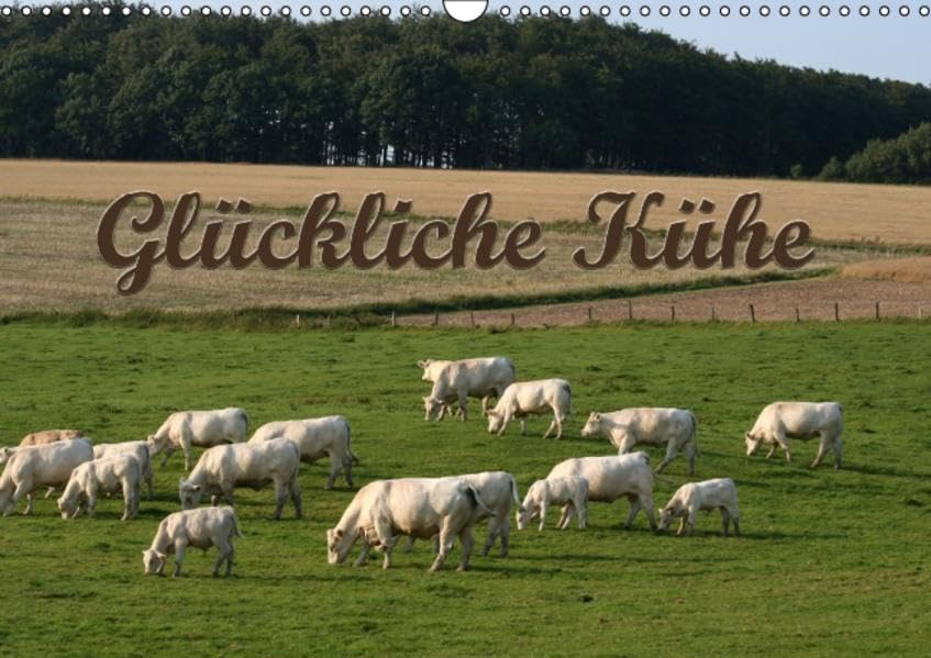 Glückliche Kühe (Wandkalender 2016 DIN A3 quer): Der Kuh-Terminplaner (Geburtstagskalender, 14 Seiten ) (CALVENDO Tiere) Calendars
