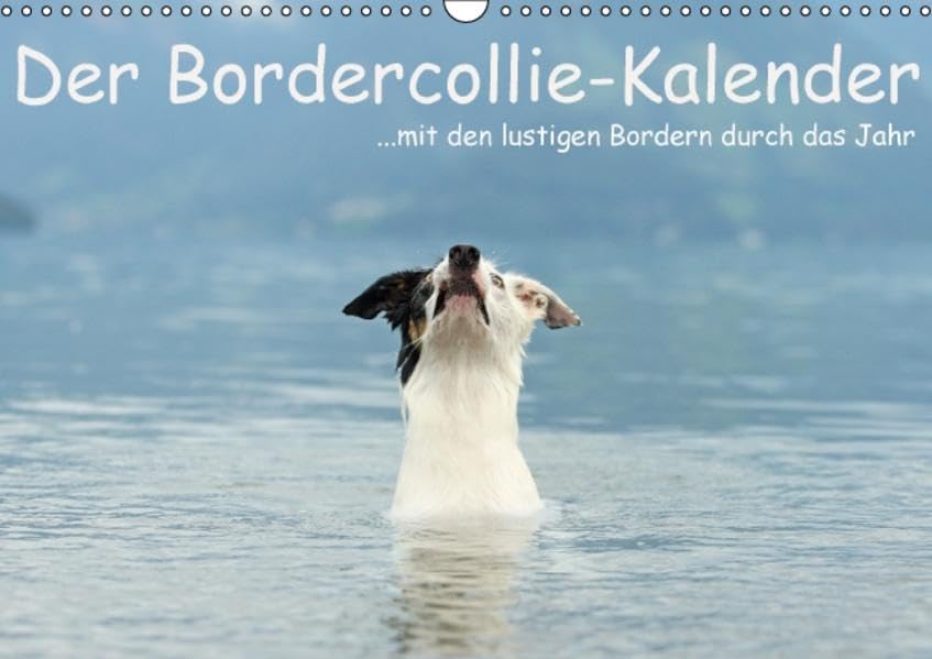 Der Bordercollie-Kalender (Wandkalender 2016 DIN A3 quer): ... mit den lustigen Bordern durch das Jahr (Monatskalender, 14 Seiten ) (CALVENDO Tiere) Calendars