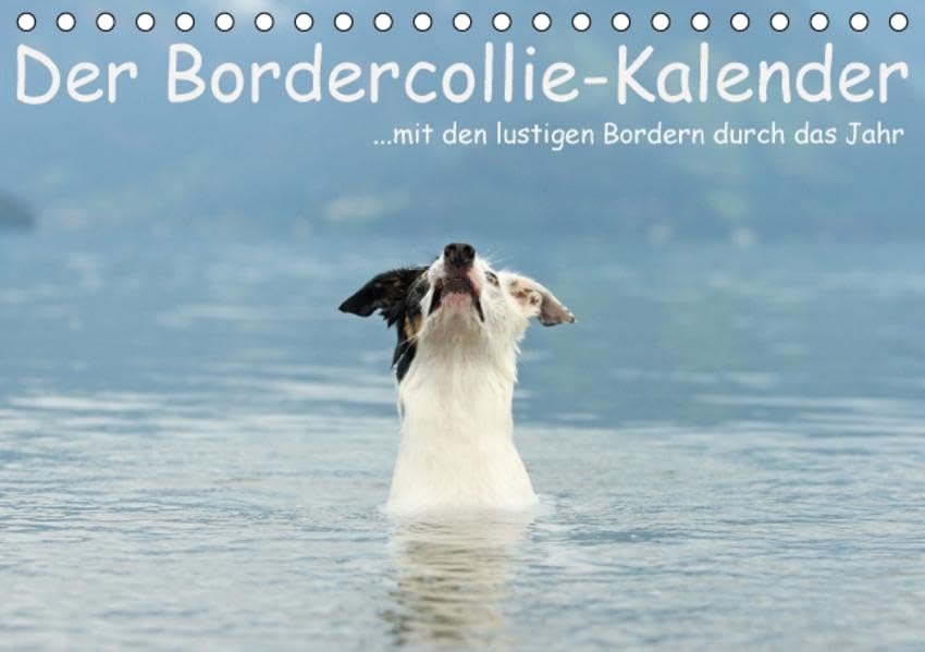 Der Bordercollie-Kalender (Tischkalender 2016 DIN A5 quer): ... mit den lustigen Bordern durch das Jahr (Monatskalender, 14 Seiten ) (CALVENDO Tiere) Calendars