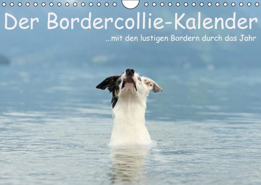 Der Bordercollie-Kalender (Wandkalender 2016 DIN A4 quer): ... mit den lustigen Bordern durch das Jahr (Monatskalender, 14 Seiten ) (CALVENDO Tiere) Calendars