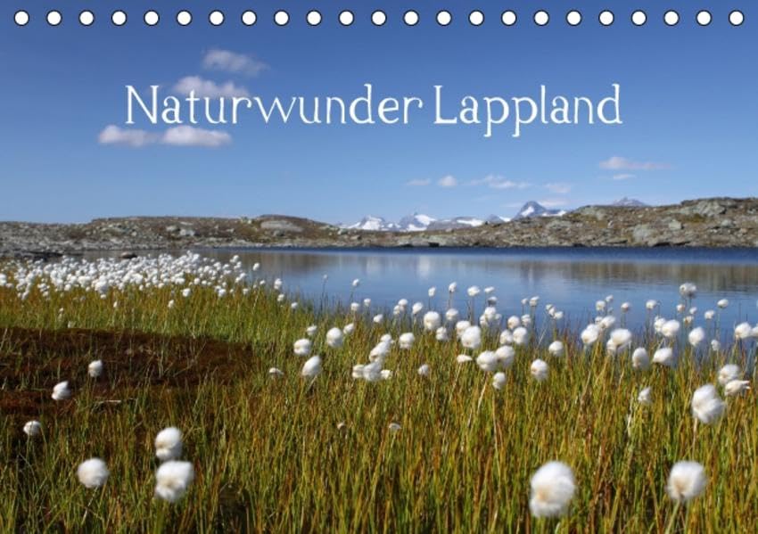 Naturwunder Lappland (Tischkalender 2016 DIN A5 quer): Die Einzigartigkeit der Natur nördlich des Polarkreises (Monatskalender, 14 Seiten ) (CALVENDO Orte) Leisure, Home & Garden