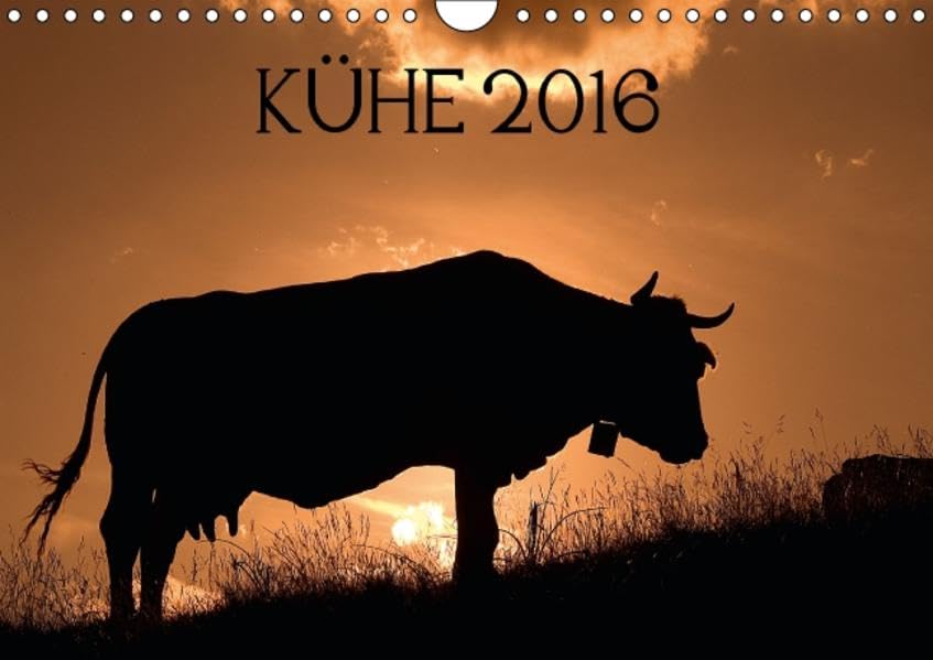 Kühe 2016 (Wandkalender 2016 DIN A4 quer): Kühe in den Pyrenäen - fotografiert von Jorge Ruiz del Olmo (Monatskalender, 14 Seiten ) (CALVENDO Tiere) Calendars