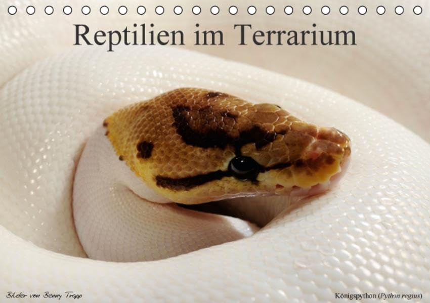 REPTILIEN IM TERRARIUM (Tischkalender 2016 DIN A5 quer): REPTILIEN IM TERRARIUM (Monatskalender, 14 Seiten ) (CALVENDO Tiere) Calendars