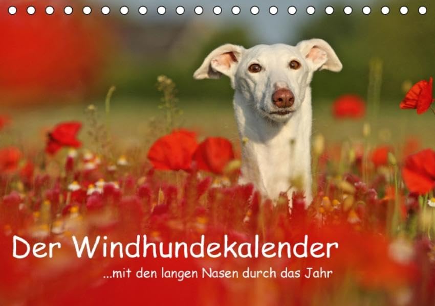 Der Windhundekalender (Tischkalender 2016 DIN A5 quer): Mit den langen Nasen durch das Jahr... (Monatskalender, 14 Seiten ) (CALVENDO Tiere) Calendars
