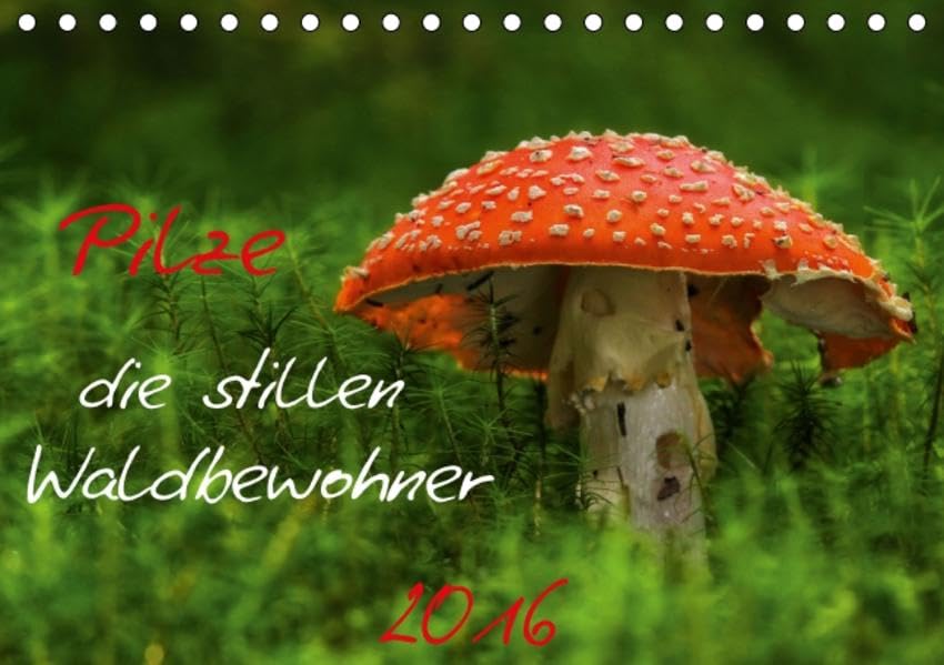 Pilze, die stillen Waldbewohner 2016 (Tischkalender 2016 DIN A5 quer): Pilze, einzigartig und schön in ihrer Form und Vielfalt und manch einer birgt ... (Monatskalender, 14 Seiten ) (CALVENDO Natur) Calendars
