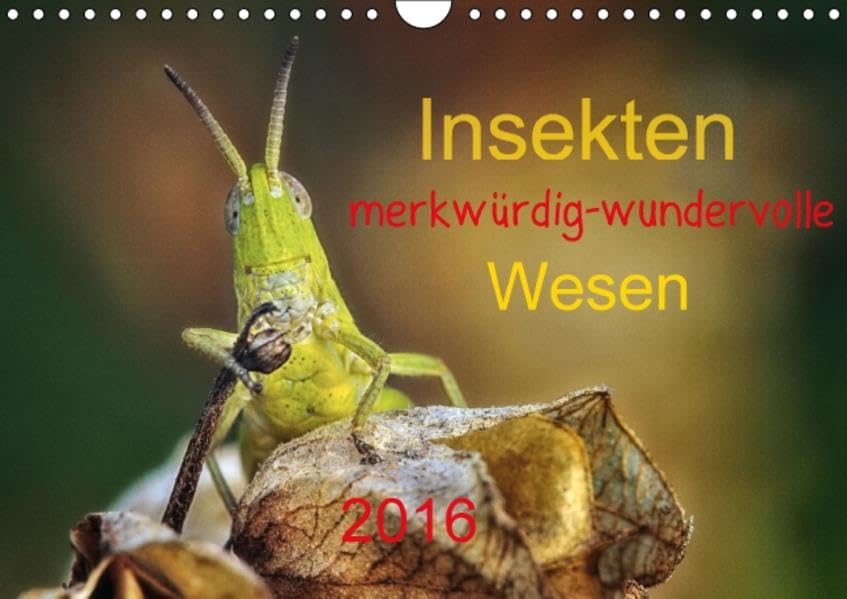 Insekten, merkwürdig-wundervolle Wesen 2016 (Wandkalender 2016 DIN A4 quer): Insekten, diese merkwürdigen und wundervollen Wesen von ihrer besten ... (Monatskalender, 14 Seiten ) (CALVENDO Tiere) Calendars