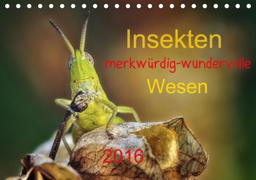 Insekten, merkwürdig-wundervolle Wesen 2016 (Tischkalender 2016 DIN A5 quer): Insekten, diese merkwürdigen und wundervollen Wesen von ihrer besten ... (Monatskalender, 14 Seiten ) (CALVENDO Tiere) Calendars