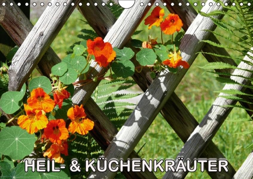 Heil- und Küchenkräuter (Wandkalender 2016 DIN A4 quer): Heilkräuter und Küchenkräuter im Garten (Monatskalender, 14 Seiten ) (CALVENDO Natur) Calendars