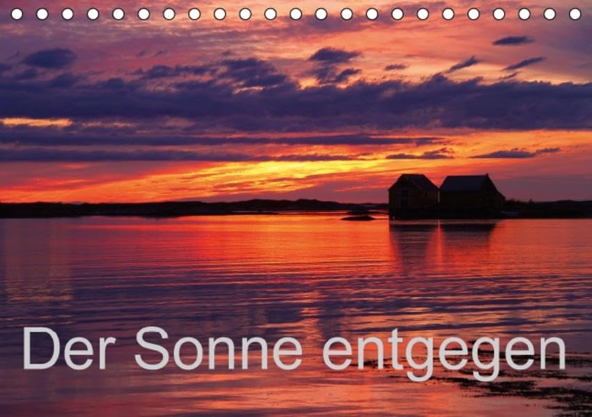 Der Sonne entgegen (Tischkalender 2016 DIN A5 quer): Sonnenuntergänge, die Sonne in Ihrem schönsten Licht (Monatskalender, 14 Seiten) (CALVENDO Natur) Books