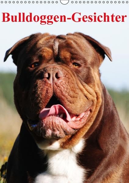 Bulldoggen-Gesichter (Wandkalender 2016 DIN A3 hoch): Die beeindruckenden Gesichter verschiedene Bulldoggen-Zuchtlinien (Monatskalender, 14 Seiten ) (CALVENDO Tiere) Calendars