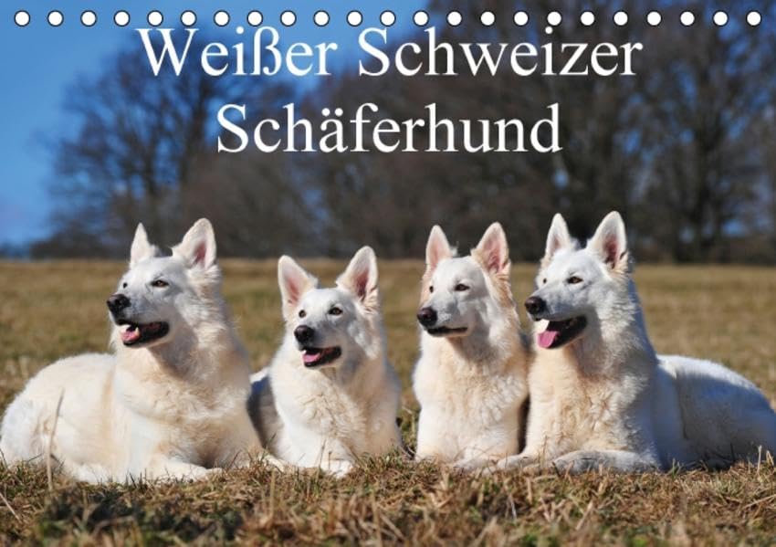 Weißer Schweizer Schäferhund (Tischkalender 2016 DIN A5 quer): Auf 13 wunderschönen Fotos mit einer faszinierenden Hunderasse durch die Jahreszeiten (Monatskalender, 14 Seiten ) (CALVENDO Tiere) Calendars