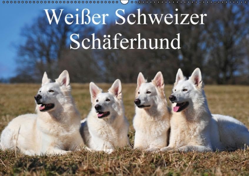 Weißer Schweizer Schäferhund (Wandkalender 2016 DIN A2 quer): Auf 13 wunderschönen Fotos mit einer faszinierenden Hunderasse durch die Jahreszeiten (Monatskalender, 14 Seiten ) (CALVENDO Tiere) Calendars