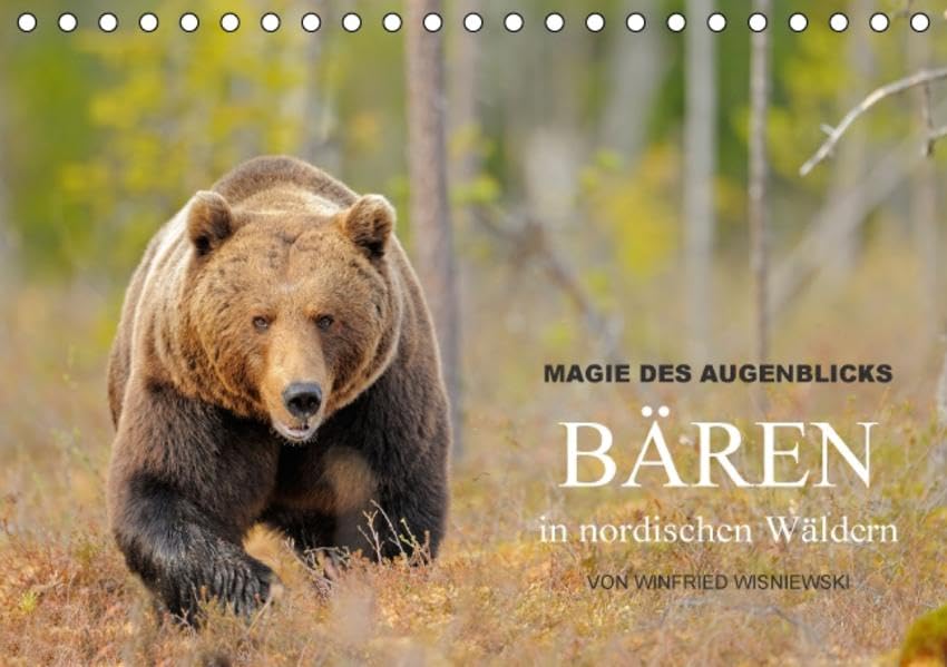 Magie des Augenblicks - Bären in nordischen Wäldern (Tischkalender 2016 DIN A5 quer): Eindrucksvolle Bildern von den charismatischen Raubtieren, ... (Monatskalender, 14 Seiten ) (CALVENDO Tiere) Calendars