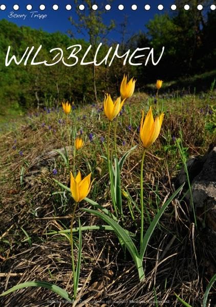 WILDBLUMEN (Tischkalender 2016 DIN A5 hoch): Schönheiten der europäischen Flora im Bild (Monatskalender, 14 Seiten ) (CALVENDO Orte) Leisure, Home & Garden