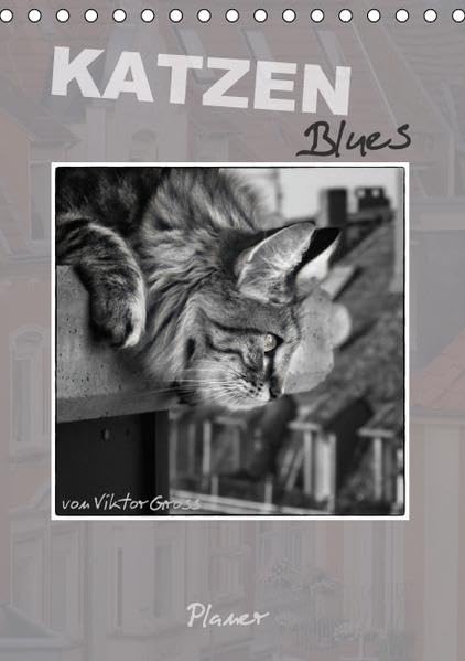 Katzen Blues / Planer (Tischkalender 2016 DIN A5 hoch): Norwegische Waldkatzen - über den Dächern von Münster (Planer, 14 Seiten ) (CALVENDO Tiere) Pets