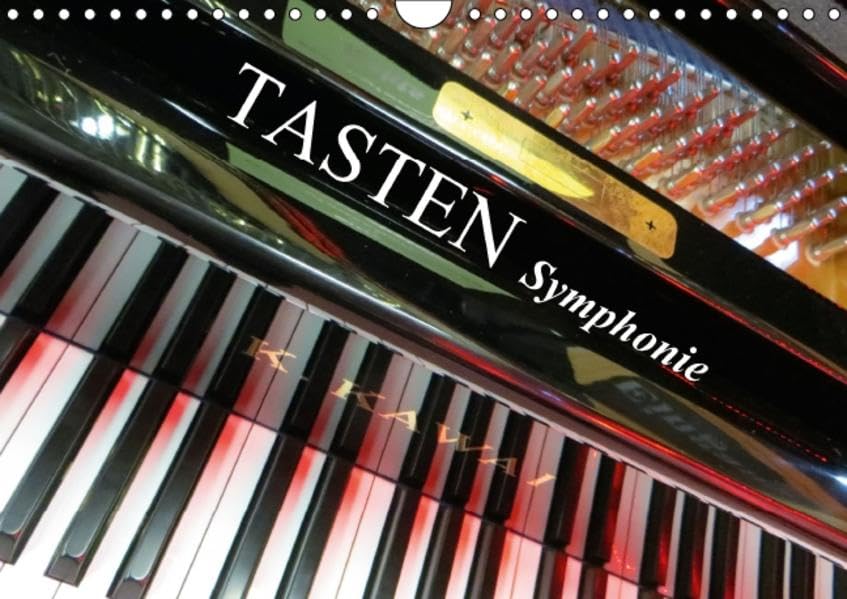 TASTEN Symphonie (Wandkalender 2016 DIN A4 quer): Tasteninstrumente aus ungewohnten Perspektiven fotografiert. (Monatskalender, 14 Seiten ) (CALVENDO Kunst) Calendars