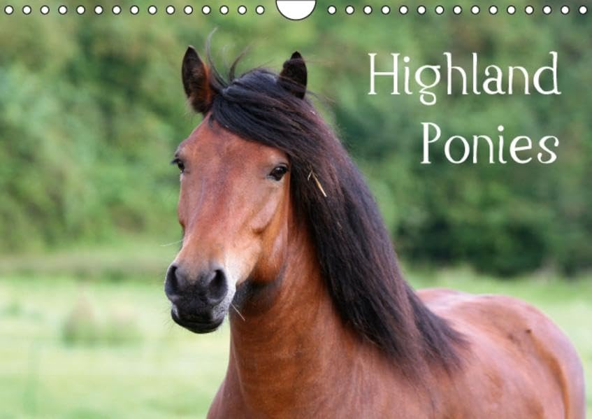 Highland Ponies (Wandkalender 2016 DIN A4 quer): Vorstellung einiger typischer Rassevertreter (Monatskalender, 14 Seiten ) (CALVENDO Tiere) Calendars