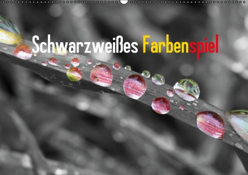 Schwarzweißes Farbenspiel 2016 / CH-Version (Wandkalender 2016 DIN A2 quer): Der Fotograf rolf pötsch zeigt hier colorierte Schwarzweiß Fotos aus dem ... (Monatskalender, 14 Seiten ) (CALVENDO Natur) Calendars