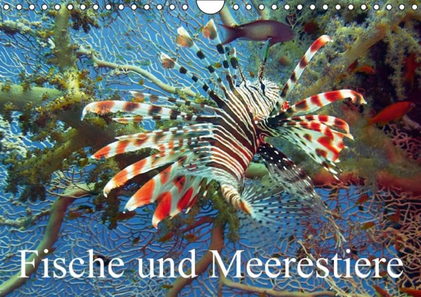 Fische und Meerestiere (Wandkalender 2016 DIN A4 quer): Die farbenfrohe Unterwasserwelt unserer Ozeane (Monatskalender, 14 Seiten ) (CALVENDO Tiere) Calendars
