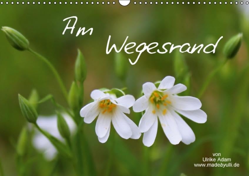 Am Wegesrand / Geburtstagskalender (Wandkalender 2016 DIN A3 quer): Die kleine Welt am Wegesrand (Geburtstagskalender, 14 Seiten ) (CALVENDO Natur) Calendars