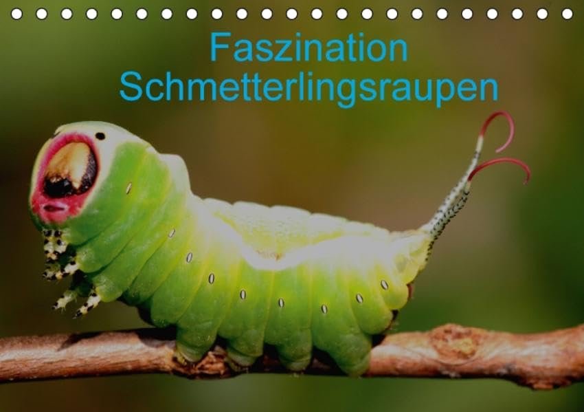 Faszination Schmetterlingsraupen (Tischkalender 2016 DIN A5 quer): In diesem Kalender werden seltene Raupen von Tag- und Nachtfaltern vorgestellt (Monatskalender, 14 Seiten ) (CALVENDO Tiere) Calendars