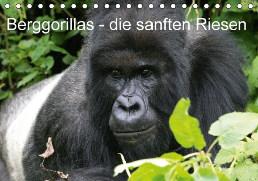 Berggorillas - die sanften Riesen (Tischkalender 2016 DIN A5 quer): Berggorillas in ihrem natürlichen Lebensraum, eine emotionale Begegnung der ... (Monatskalender, 14 Seiten ) (CALVENDO Tiere) Natural Sciences