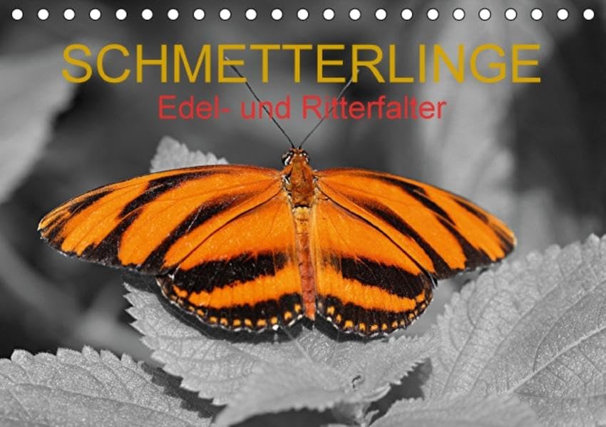 Schmetterlinge – Edel- und Ritterfalter (Tischkalender 2016 DIN A5 quer): Wunderschön kolorierte Falter aus verschiedenen Kontinenten unserer Erde (Monatskalender, 14 Seiten ) (CALVENDO Tiere) Calendars