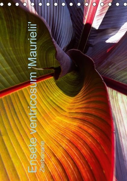 Ensete ventricosum 'Maurielii' (Tischkalender 2016 DIN A5 hoch): Verstecktes Farbfeuerwerk der roten Zierbanane, immer wieder umwerfende Farbspiele. (Monatskalender, 14 Seiten ) book