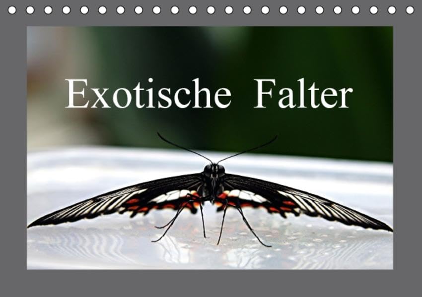 Exotische Falter (Tischkalender 2016 DIN A5 quer): Wunderschöne Falter aus verschiedenen Kontinenten unserer Erde (Monatskalender, 14 Seiten ) (CALVENDO Tiere) Calendars