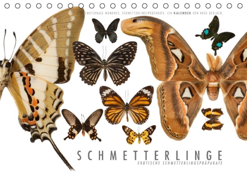Emotionale Momente: Schmetterlinge - exotische Schmetterlingspräparate (Tischkalender 2016 DIN A5 quer): Ingo Gerlach hat Schmetterlingspräparate ... (Monatskalender, 14 Seiten ) (CALVENDO Tiere) Photography