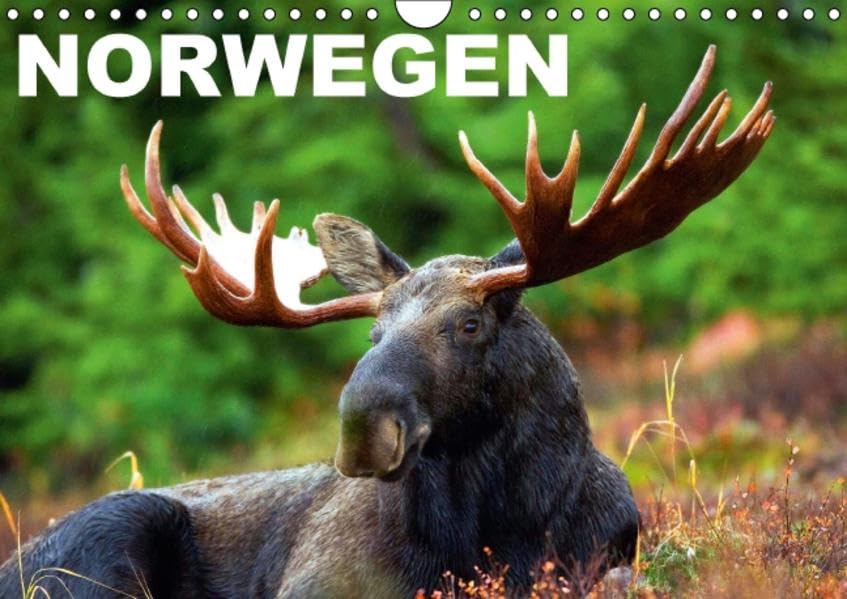 Norwegen (Wandkalender 2016 DIN A4 quer): Das Land der unberührten Natur und Fjorde (Monatskalender, 14 Seiten ) (CALVENDO Natur) Calendars
