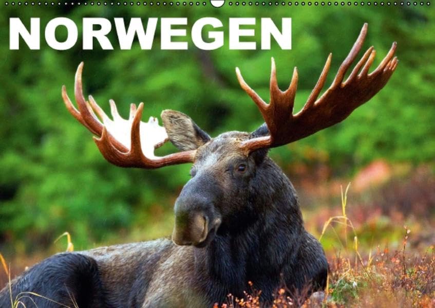 Norwegen (Wandkalender 2016 DIN A2 quer): Das Land der unberührten Natur und Fjorde (Monatskalender, 14 Seiten ) (CALVENDO Natur) Calendars