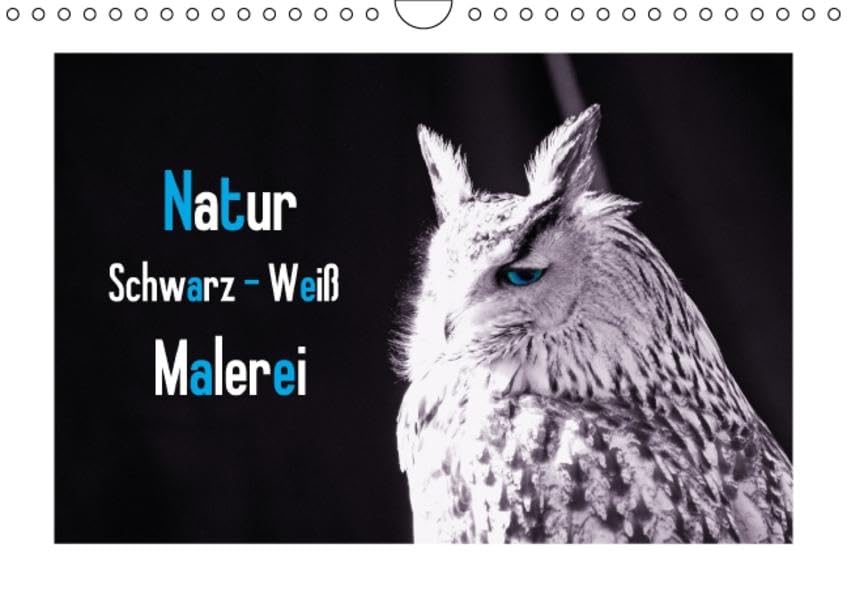 Natur schwarz - weiß Malerei (Wandkalender 2016 DIN A4 quer): Die Natur malt die schönsten Farben schwarz weiß Kalender mit Farbtupfern (Monatskalender, 14 Seiten ) (CALVENDO Kunst) Calendars