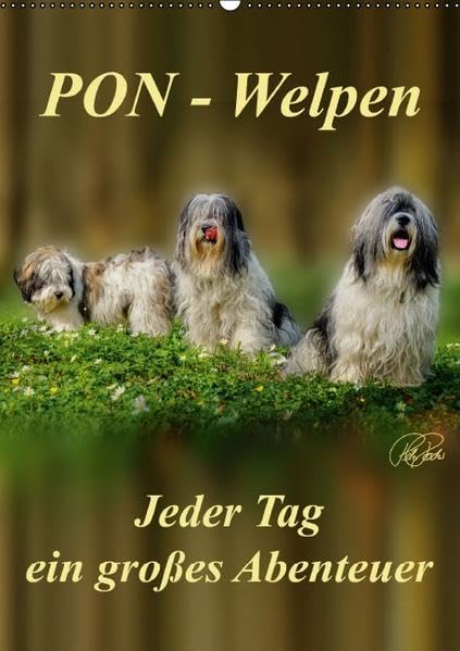 PON-Welpen - jeder Tag ein großes Abenteuer / Planer (Wandkalender 2016 DIN A2 hoch): PON-Welpen - einzigartige, sehr intelligente "Teddybären" mit ... (Planer, 14 Seiten ) (CALVENDO Tiere) Calendars