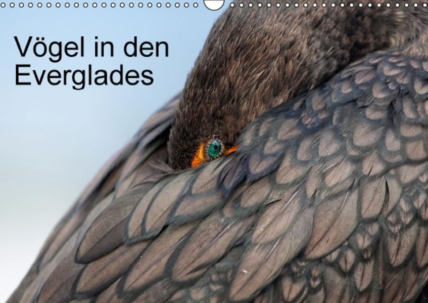 Vögel in den Everglades (Wandkalender 2016 DIN A3 quer): Kleine Auswahl von prominenten Vögeln den Everglades (Monatskalender, 14 Seiten ) (CALVENDO Tiere) Leisure, Home & Garden