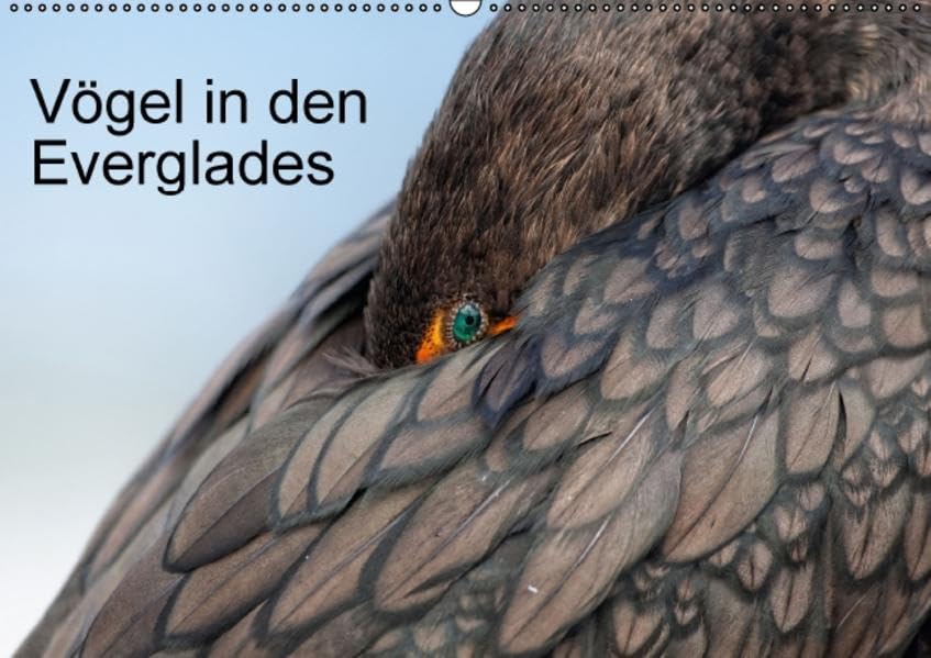 Vögel in den Everglades (Wandkalender 2016 DIN A2 quer): Kleine Auswahl von prominenten Vögeln den Everglades (Monatskalender, 14 Seiten ) (CALVENDO Tiere) Leisure, Home & Garden