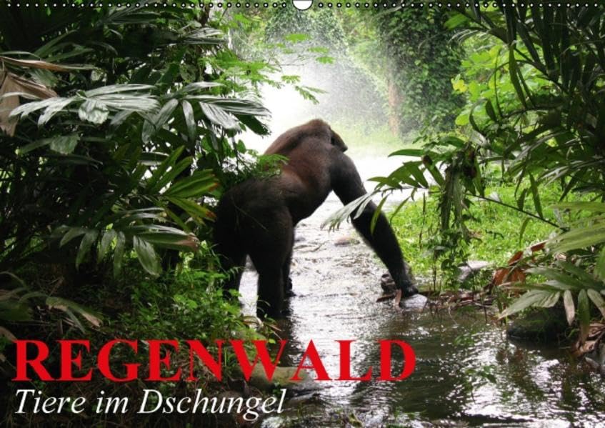 Regenwald • Tiere im Dschungel (Wandkalender 2016 DIN A2 quer): Die wunderbare Artenvielfalt im Regenwald (Monatskalender, 14 Seiten ) (CALVENDO Orte) Calendars